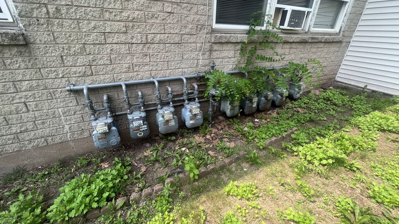 Amazing Opportunity in New Haven